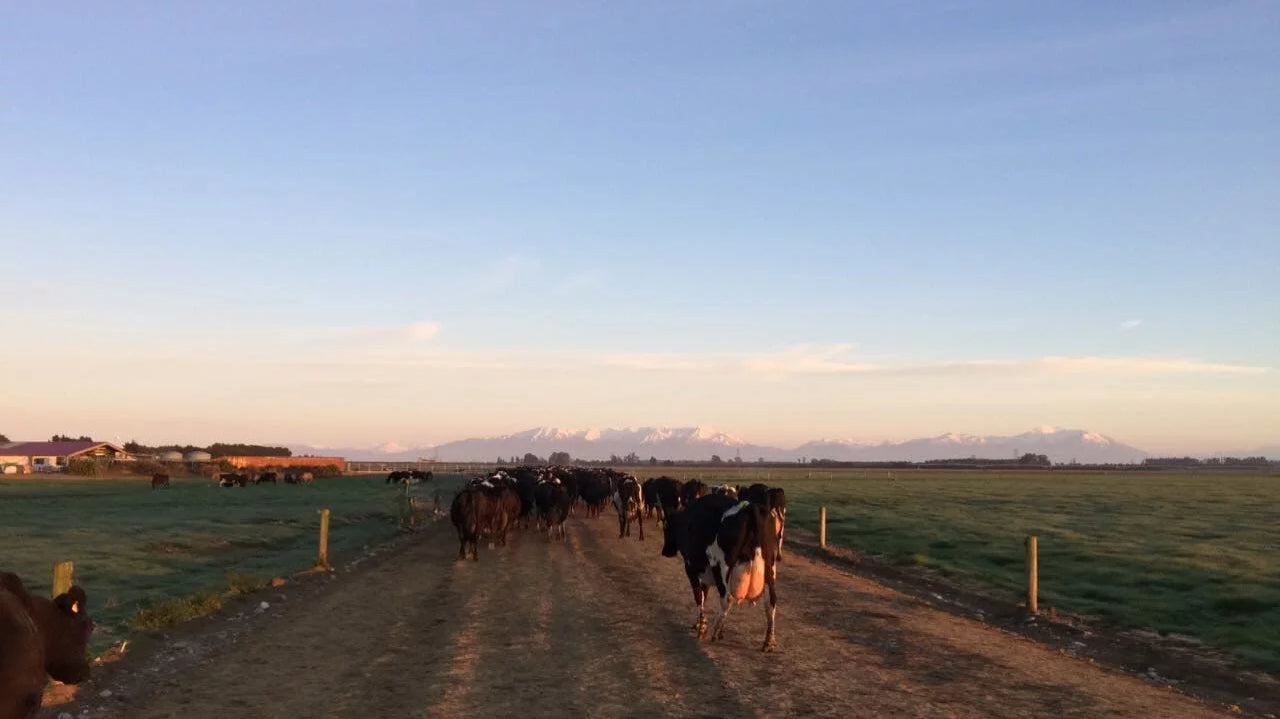 Farmbassador Cian Jobe