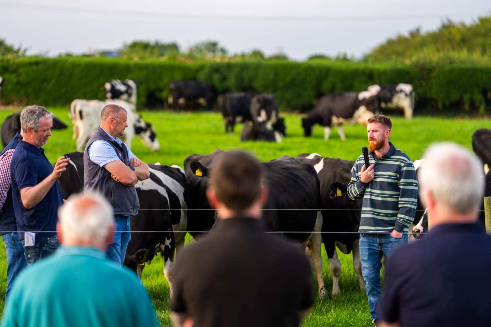 Ryan McElhinney speaking on his farm walk, July 2026