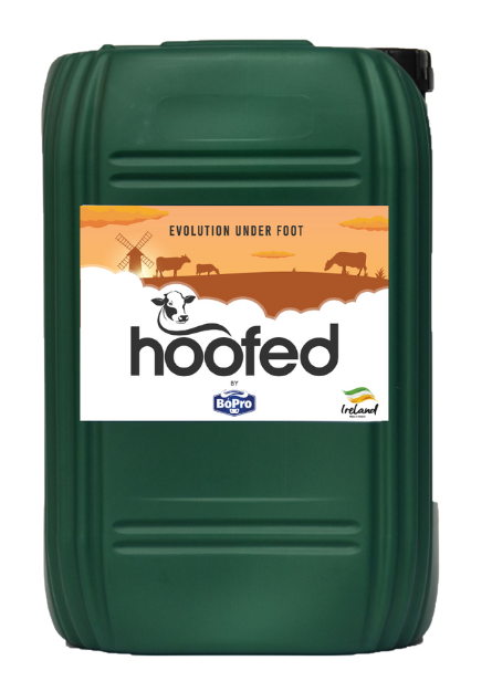 Hoof Care Solutions